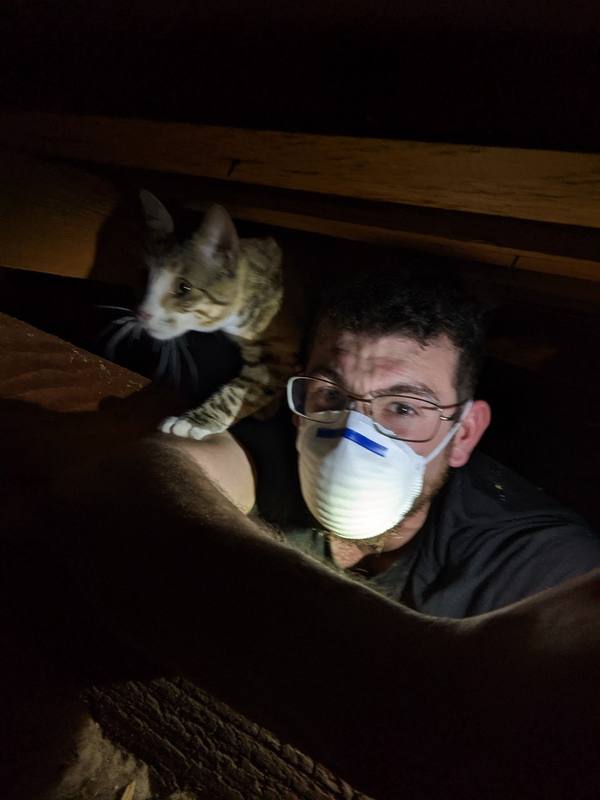 The Real BayCAT